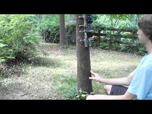 Tree-Climbing Robot