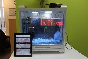 Умный аквариум