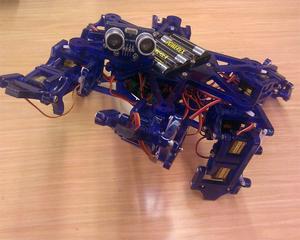 Hexy